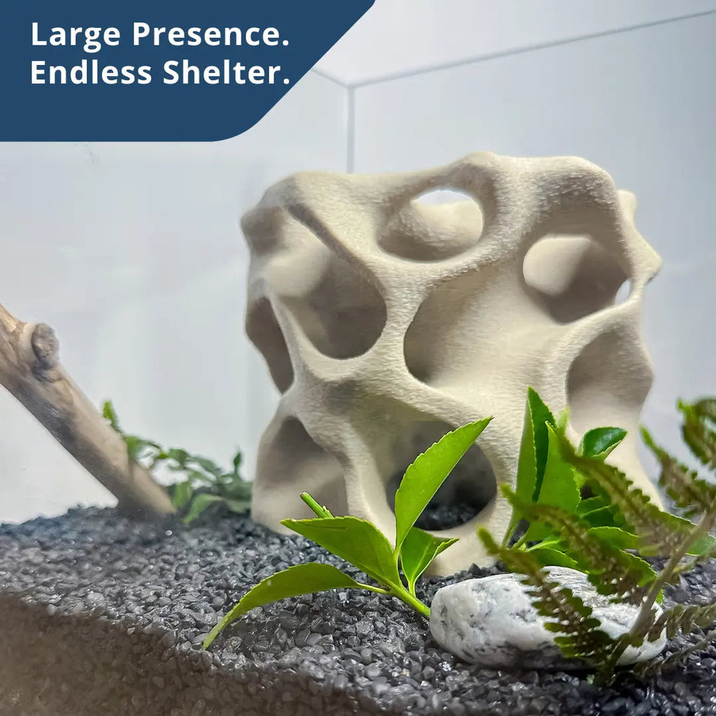 Aquarium Cave for Fish, Shrimp & Plecos – Coral - Style Shelter with 3 Hides for Corydoras, Guppies & Bottom Dwellers - Blubber Cove
