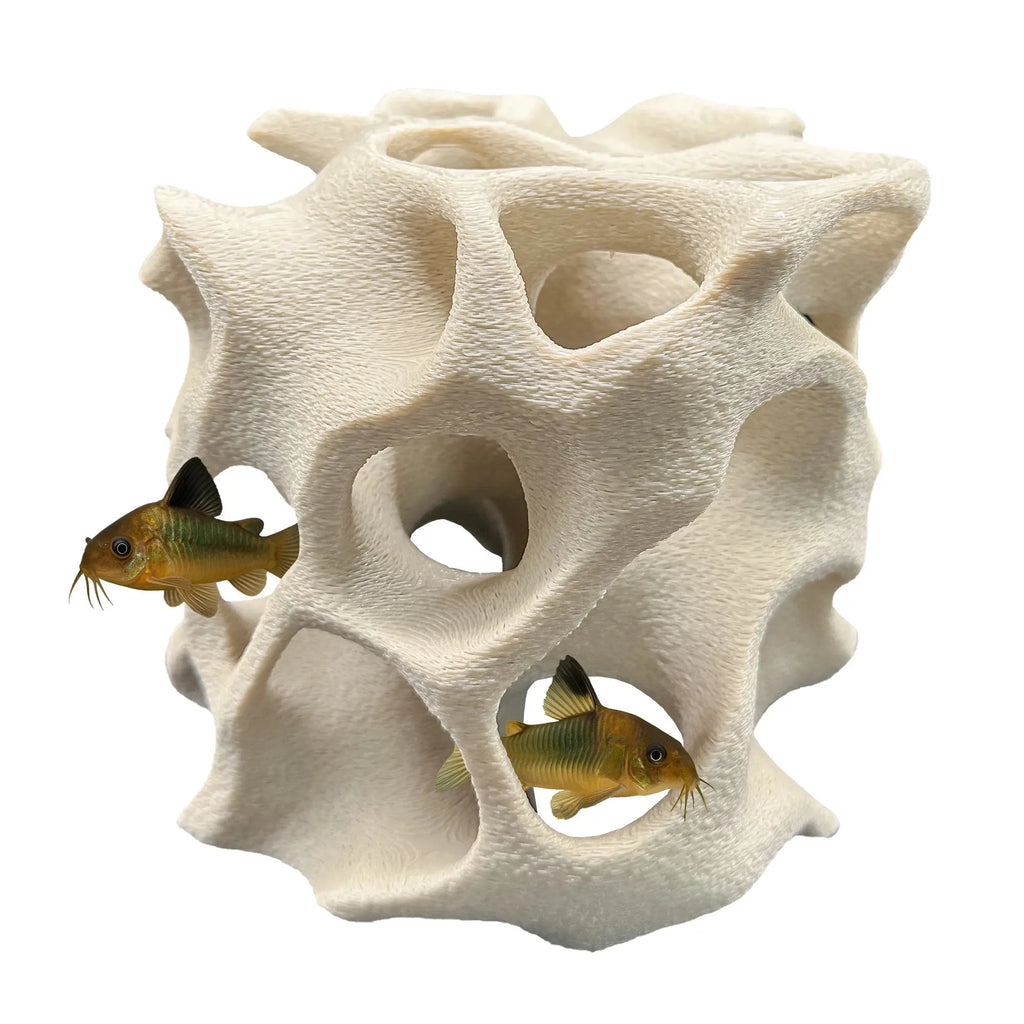 Aquarium Cave for Fish, Shrimp & Plecos – Coral - Style Shelter with 3 Hides for Corydoras, Guppies & Bottom Dwellers - Blubber Cove