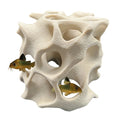 Aquarium Cave for Fish, Shrimp & Plecos – Coral - Style Shelter with 3 Hides for Corydoras, Guppies & Bottom Dwellers - Blubber Cove