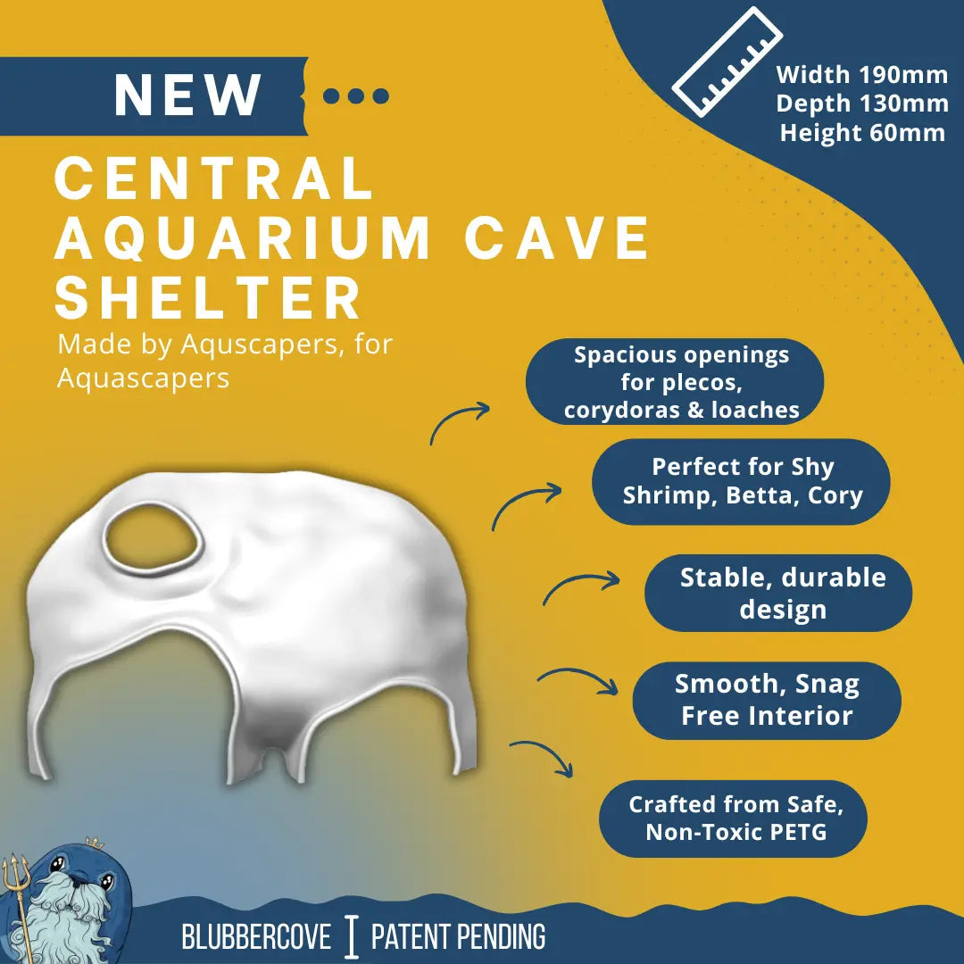 Aquarium Cave Tunnel – Large - Entrance Pleco & Shrimp Hide (Std/Large) - Blubber Cove