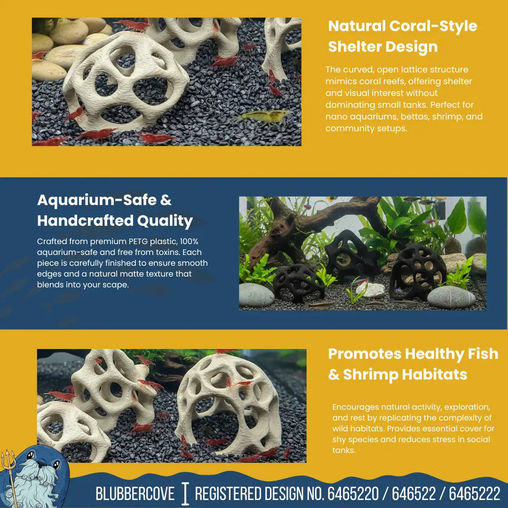 Aquarium Caves Set of 3 – Natural Aquascape Decor for Shrimp, Betta & Nano Fish - Blubber Cove