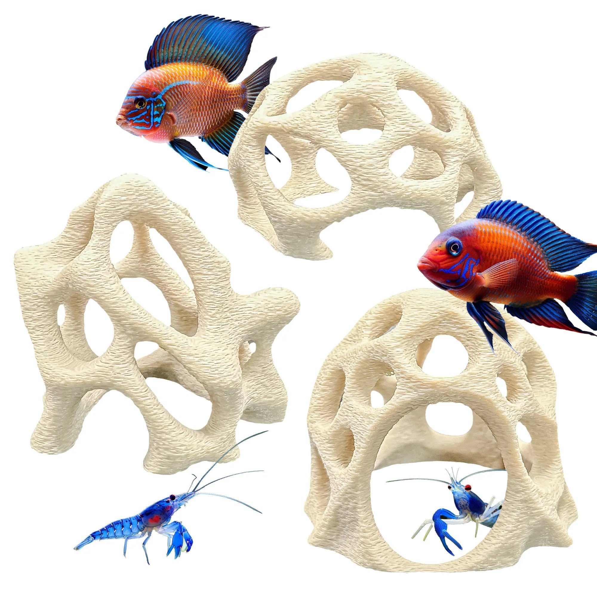 Aquarium Caves Set of 3 – Natural Aquascape Decor for Shrimp, Betta & Nano Fish - Blubber Cove