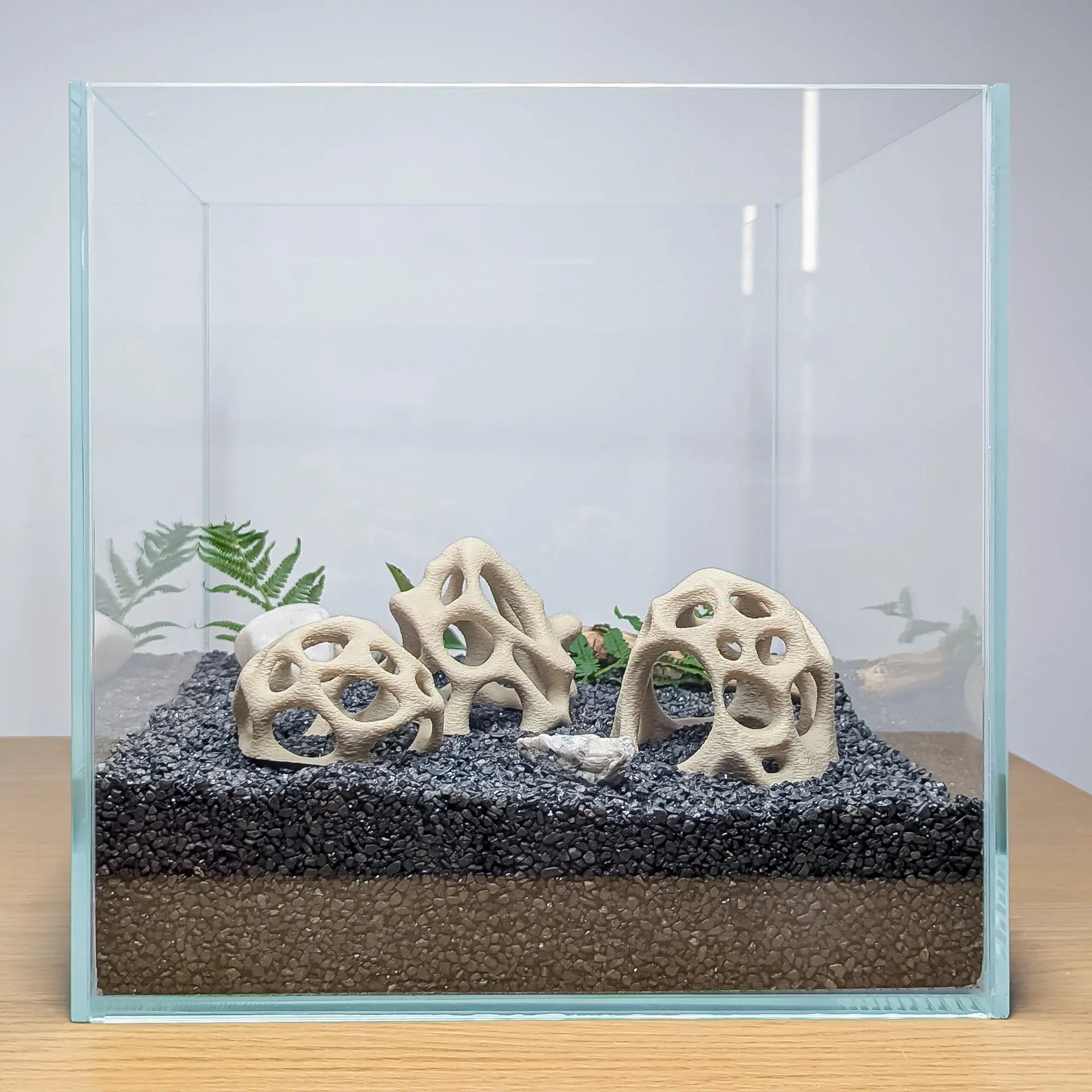 Aquarium Caves Set of 3 – Natural Aquascape Decor for Shrimp, Betta & Nano Fish - Blubber Cove