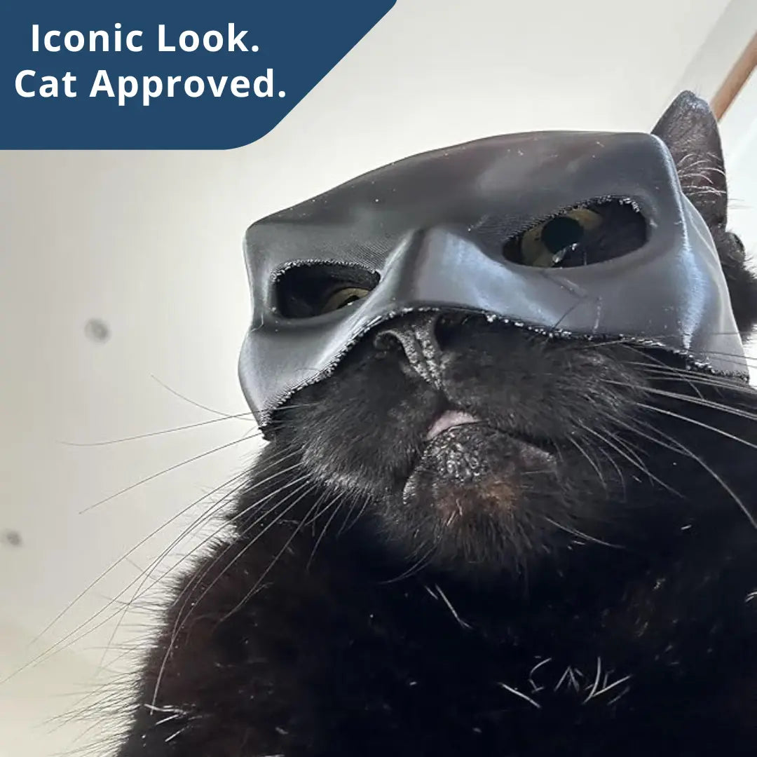 Bat Cat Cosplay Mask – Funny Cat Costume for TikTok, Halloween, Pet Cosplay, Hero Villain Dress Up - Blubber Cove