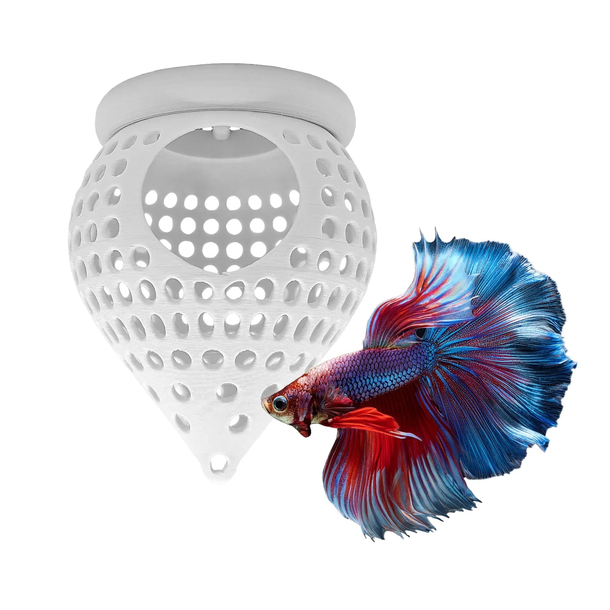 BettaPod Floating Aquarium Cave Log – Betta & Shrimp Hide | Natural Aquascape Decor (Fish Safe) - Blubber Cove
