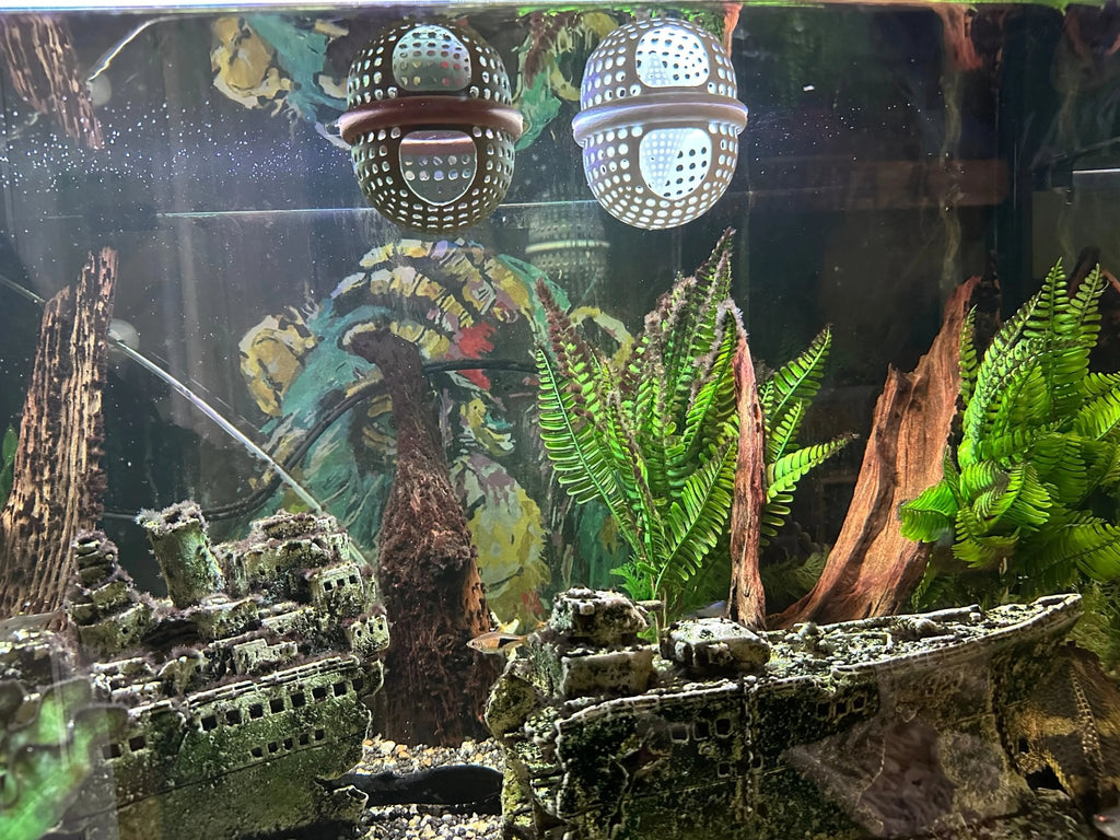 BettaPod Floating Betta Aquarium Hide Log with Feeder Insert - Blubber Cove