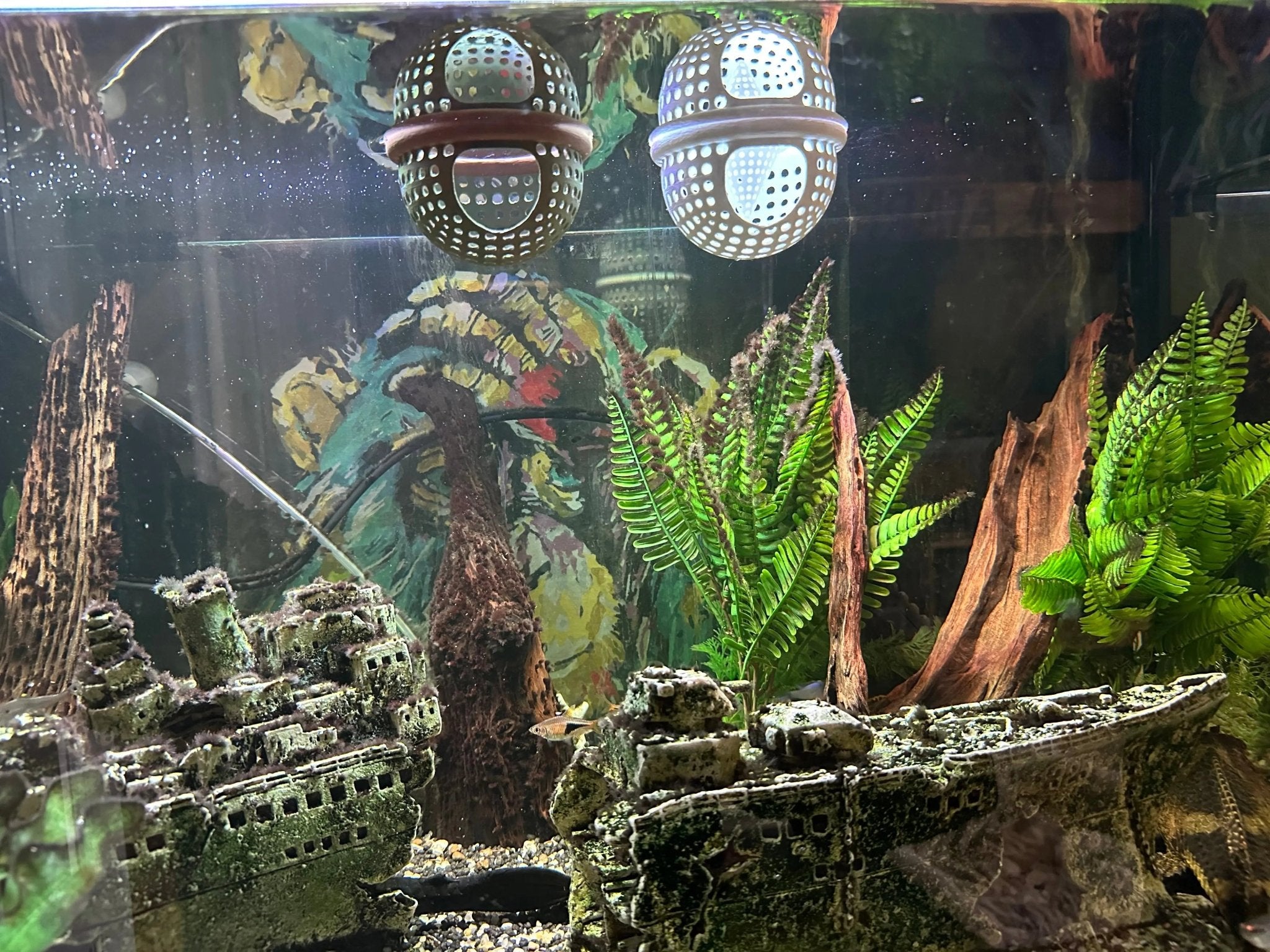 BettaPod Floating Betta Aquarium Hide Log with Feeder Insert - Blubber Cove