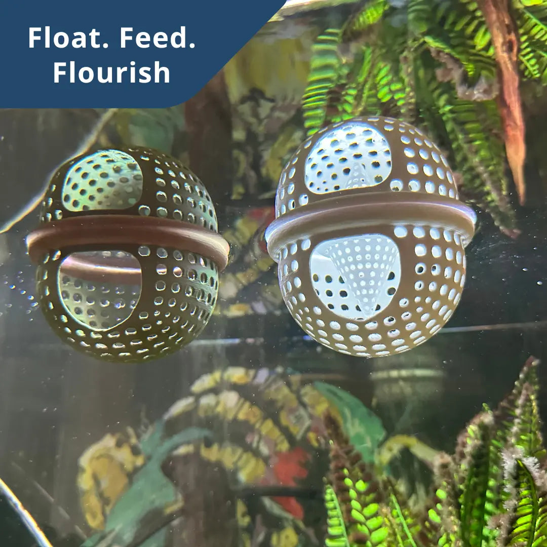 BettaPod Floating Betta Aquarium Hide Log with Feeder Insert - Blubber Cove