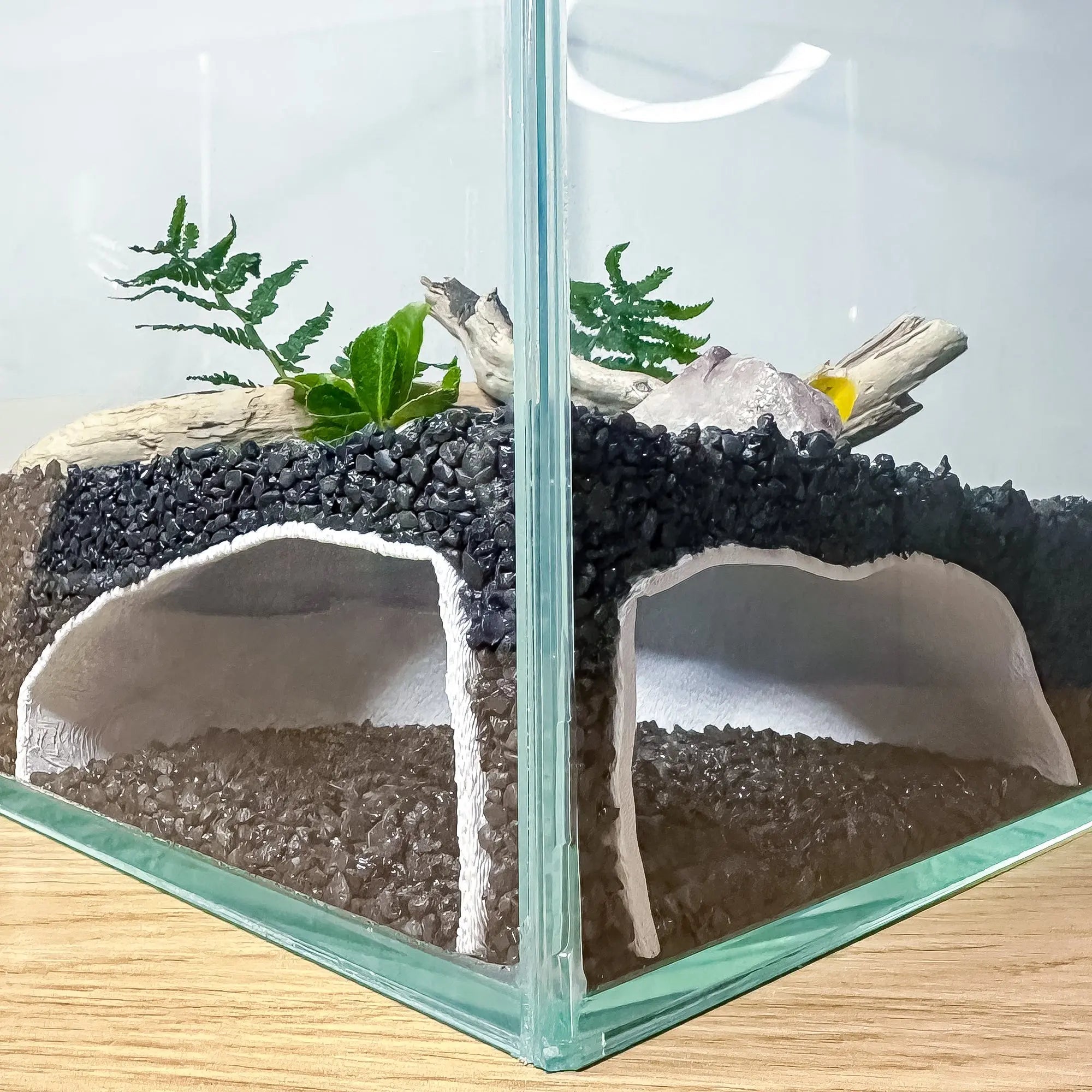 Corner Aquarium Cave Hide for Pleco, Shrimp & Betta | Natural Tank Decor - Blubber Cove