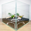Corner Aquarium Cave Hide for Pleco, Shrimp & Betta | Natural Tank Decor - Blubber Cove