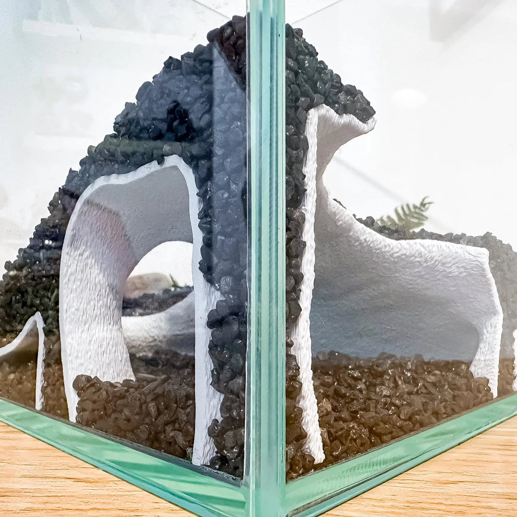 Corner Aquarium Cave Tunnel for Pleco & Shrimp – Large Entrance, Mangrove Style - Blubber Cove