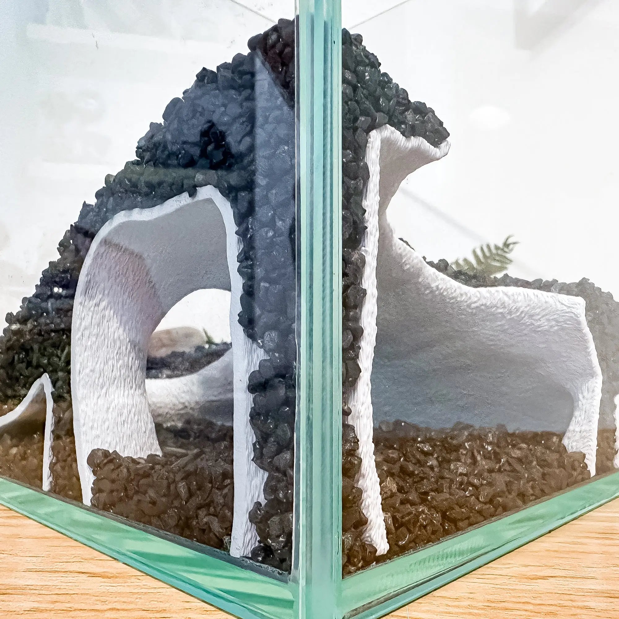 Corner Aquarium Cave Tunnel for Pleco & Shrimp – Large Entrance, Mangrove Style - Blubber Cove