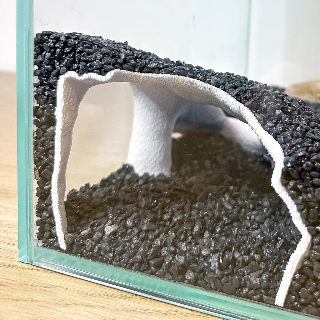 Corner Aquarium Cave Tunnel for Pleco & Shrimp – Large Entrance, Mangrove Style - Blubber Cove