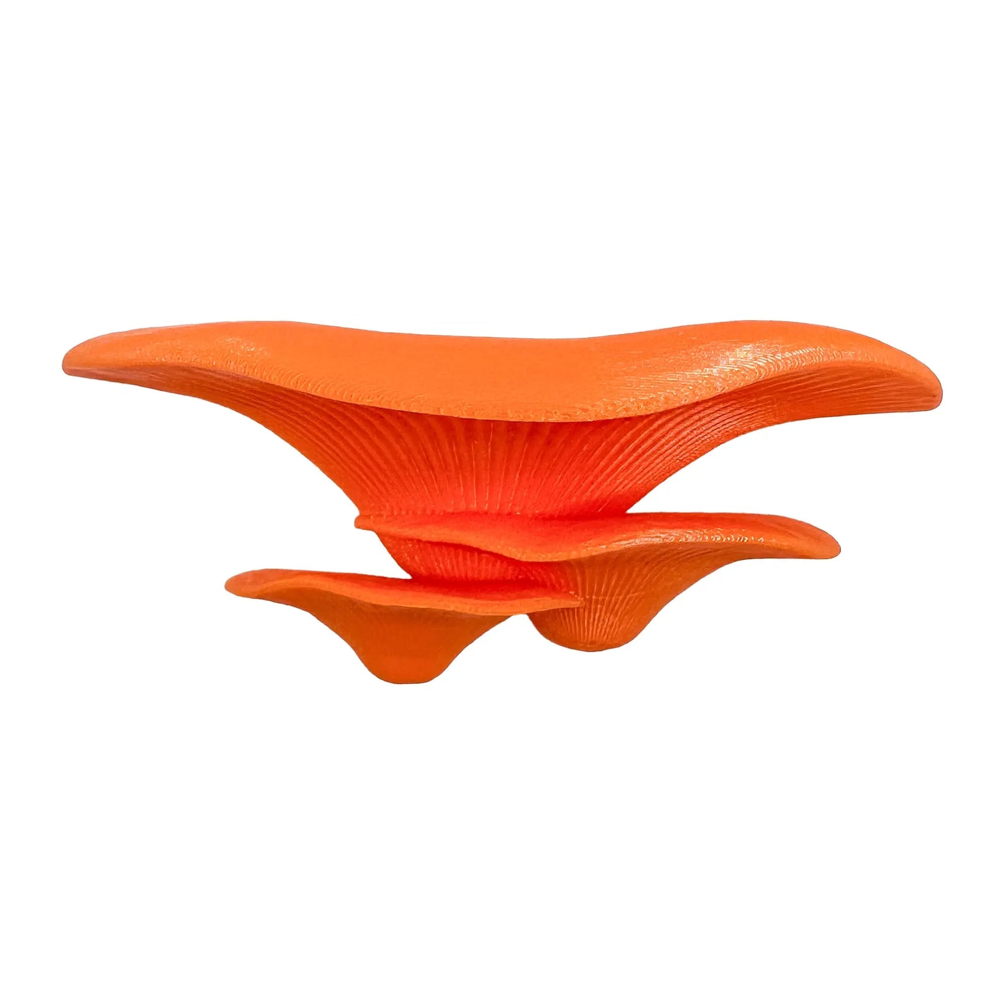 Floating mushroom ledge for bettas, shrimp, and reptiles. Attaches with suction cups. Perfect for aquascaping or amphibian rest spots. - Blubber Cove