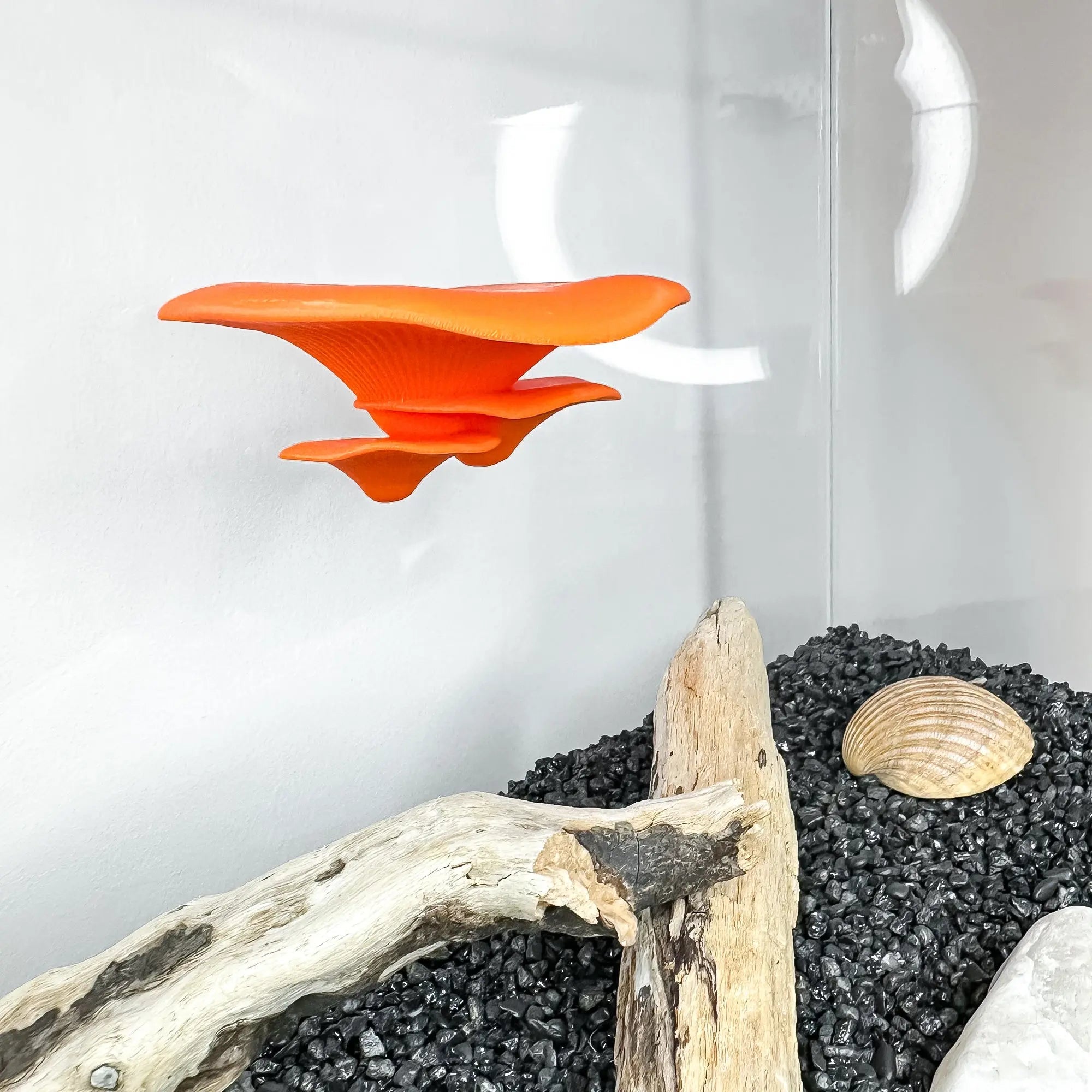 Floating mushroom ledge for bettas, shrimp, and reptiles. Attaches with suction cups. Perfect for aquascaping or amphibian rest spots. - Blubber Cove