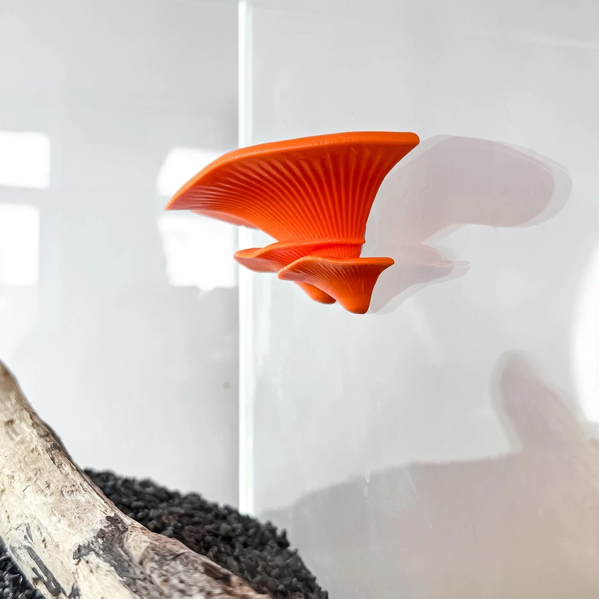Floating mushroom ledge for bettas, shrimp, and reptiles. Attaches with suction cups. Perfect for aquascaping or amphibian rest spots. - Blubber Cove