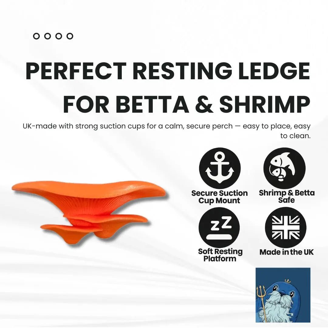 Floating mushroom ledge for bettas, shrimp, and reptiles. Attaches with suction cups. Perfect for aquascaping or amphibian rest spots. - Blubber Cove