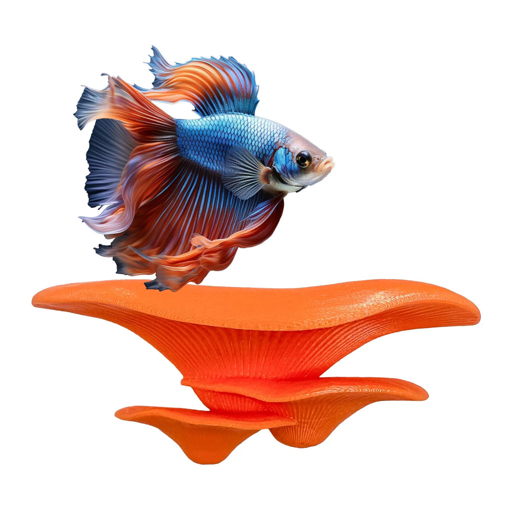 Floating mushroom ledge for bettas, shrimp, and reptiles. Attaches with suction cups. Perfect for aquascaping or amphibian rest spots. - Blubber Cove