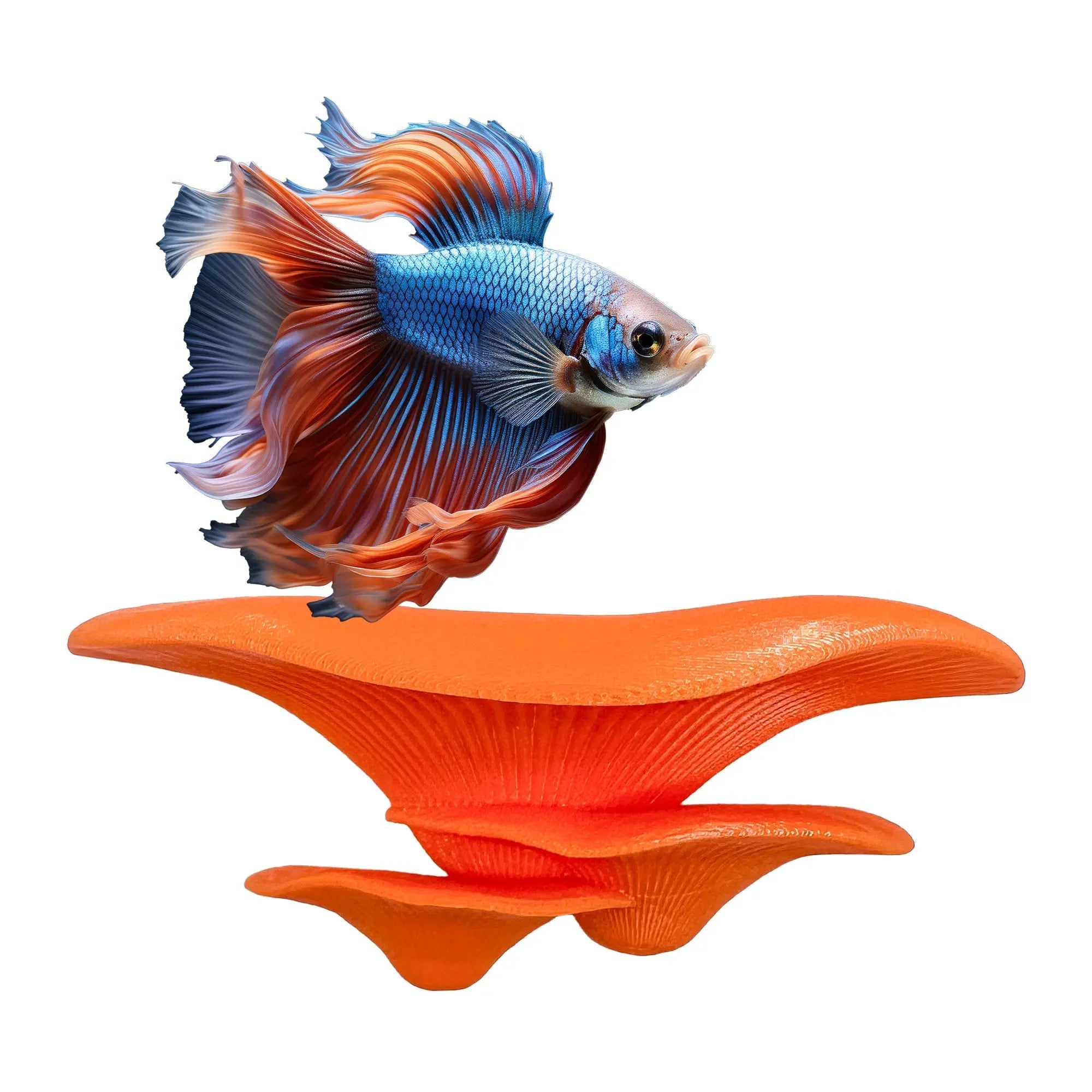 Floating mushroom ledge for bettas, shrimp, and reptiles. Attaches with suction cups. Perfect for aquascaping or amphibian rest spots. - Blubber Cove