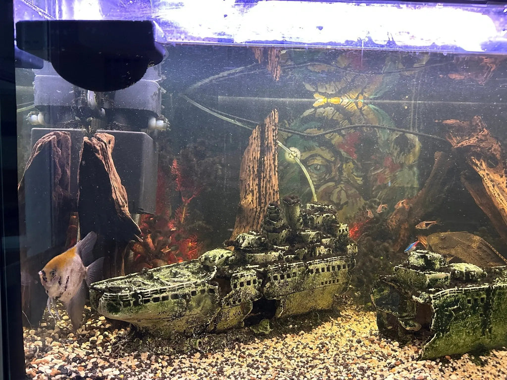 Floating Water Diffuser to Slow Aquarium Flow Rate for Water Changes - Blubber Cove
