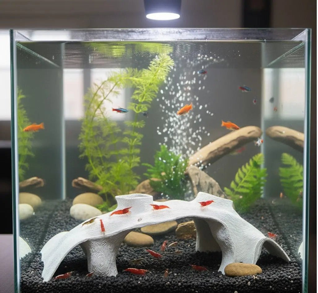 Large Aquarium Cave for Shrimp, Betta & Bottom Dwellers - Blubber Cove