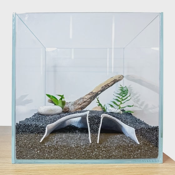 Blubber Cove Pleco Cave Tunnel – Aquarium Hide for Plecos, Corydoras & Shrimp