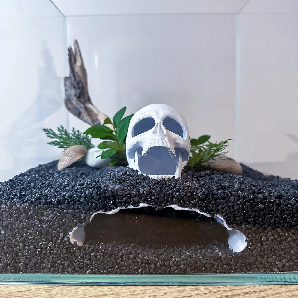 Skull Cave for Aquascaping – Safe Hideout for Betta, Shrimp & Corys - Blubber Cove