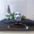 Skull Cave for Aquascaping – Safe Hideout for Betta, Shrimp & Corys - Blubber Cove
