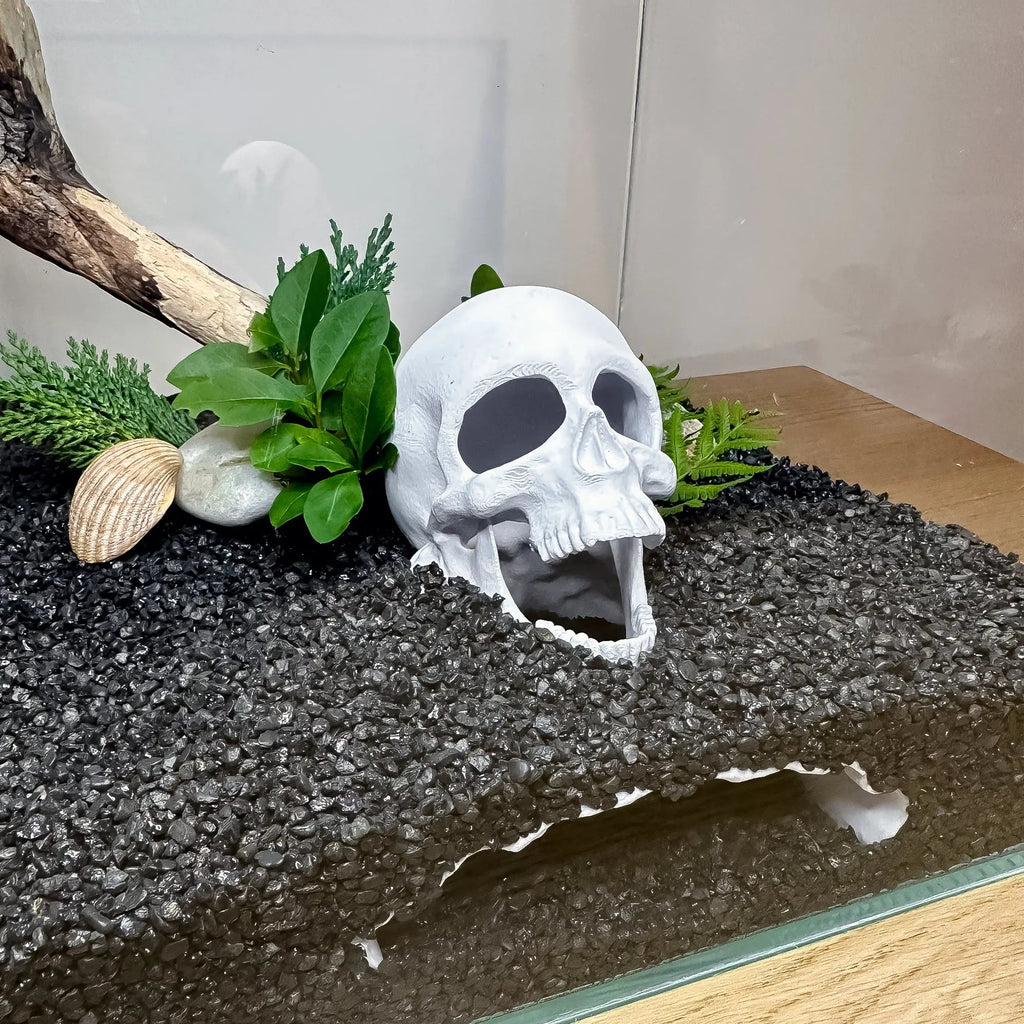 Skull Cave for Aquascaping – Safe Hideout for Betta, Shrimp & Corys - Blubber Cove