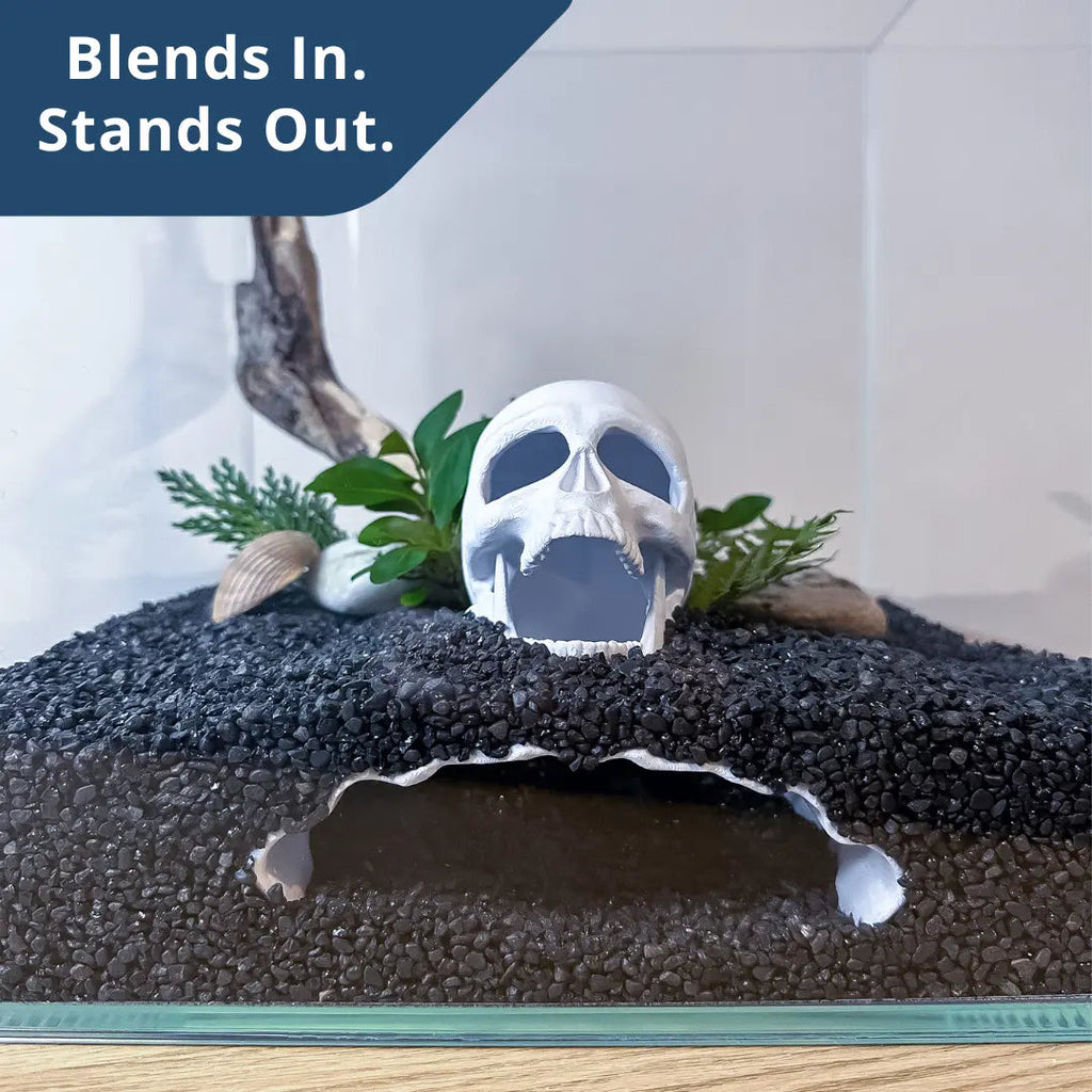 Skull Cave for Aquascaping – Safe Hideout for Betta, Shrimp & Corys - Blubber Cove