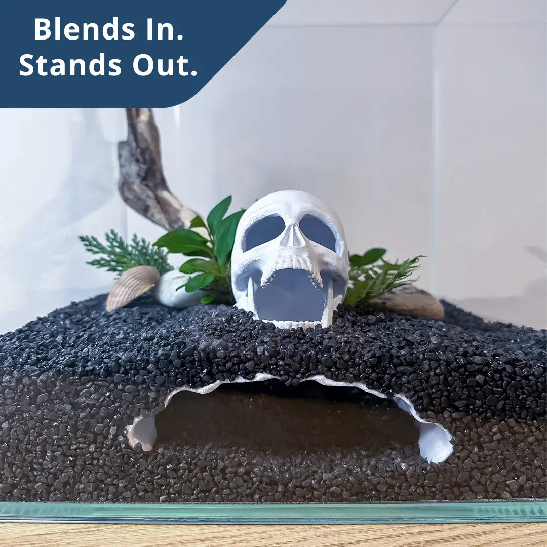 Skull Cave for Aquascaping – Safe Hideout for Betta, Shrimp & Corys - Blubber Cove