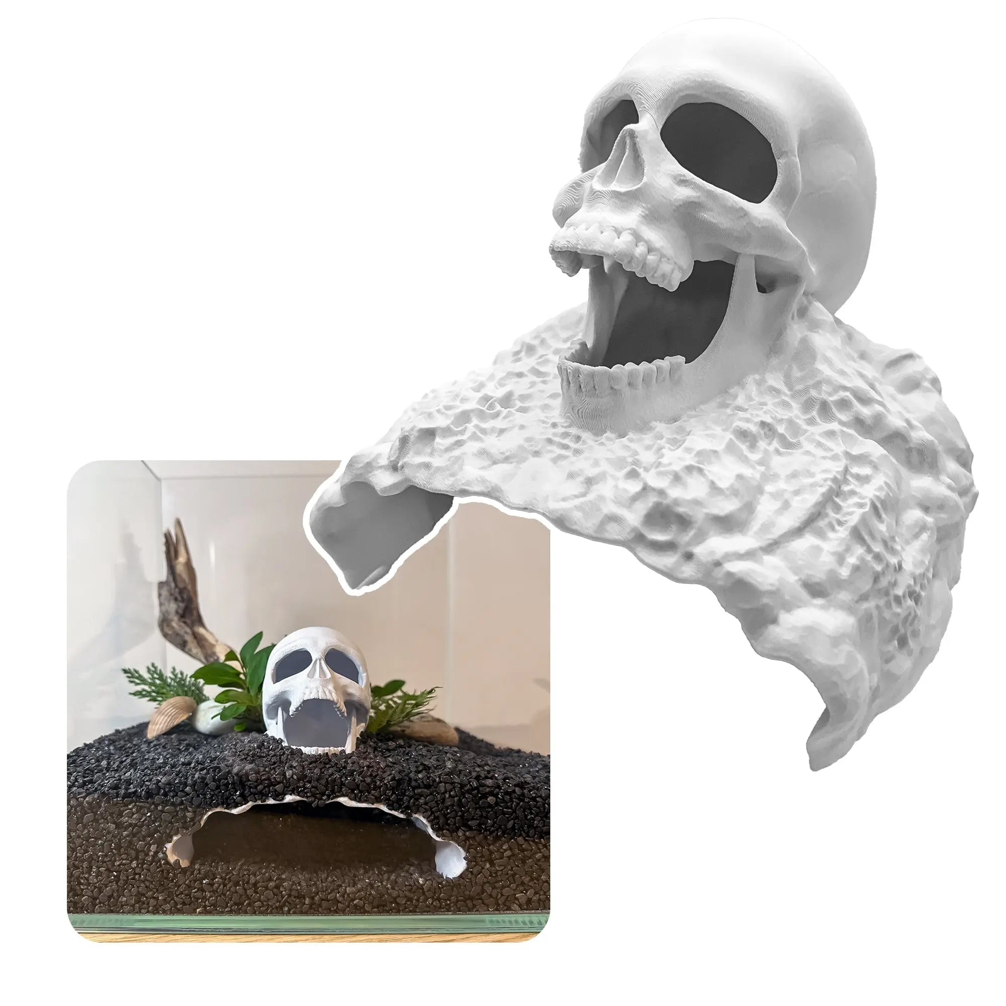 Skull Cave for Aquascaping – Safe Hideout for Betta, Shrimp & Corys - Blubber Cove