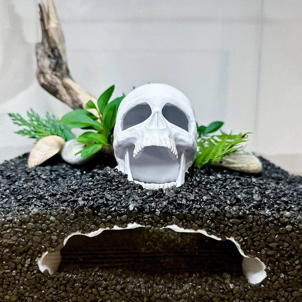 Skull Cave for Aquascaping – Safe Hideout for Betta, Shrimp & Corys - Blubber Cove