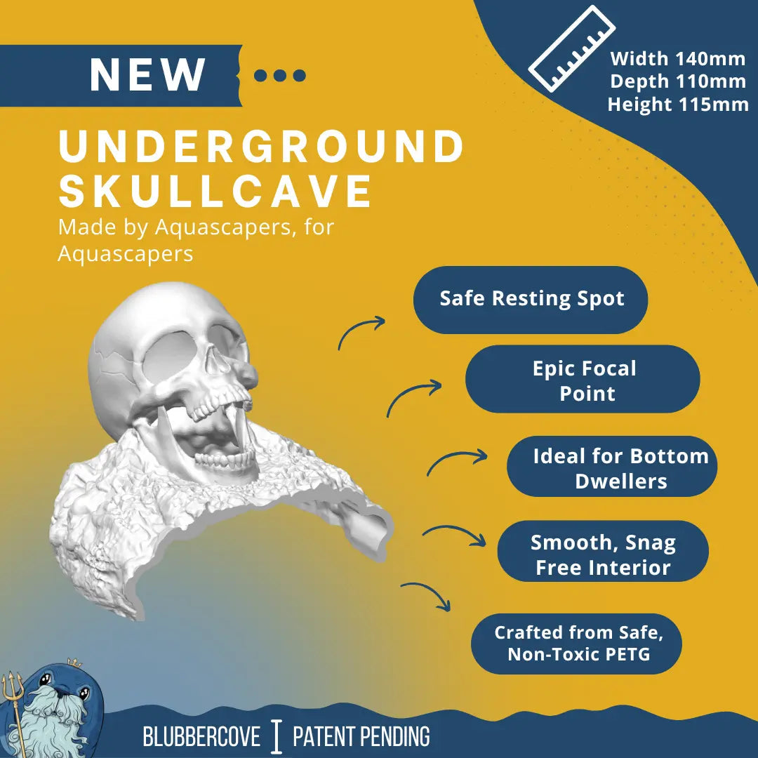 Skull Cave for Aquascaping – Safe Hideout for Betta, Shrimp & Corys - Blubber Cove